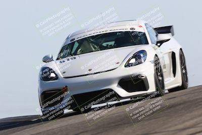 media/Jun-01-2025-PCA Golden Gate (Sun) [[9e4b10205a]]/Red/Session 1 (Grapevine)/